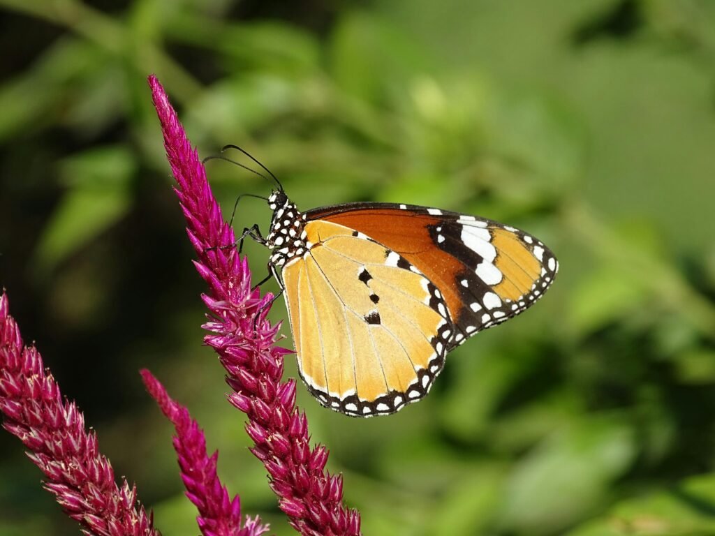 A Spiritual Tour Plan: Gangasagar to Mayapur